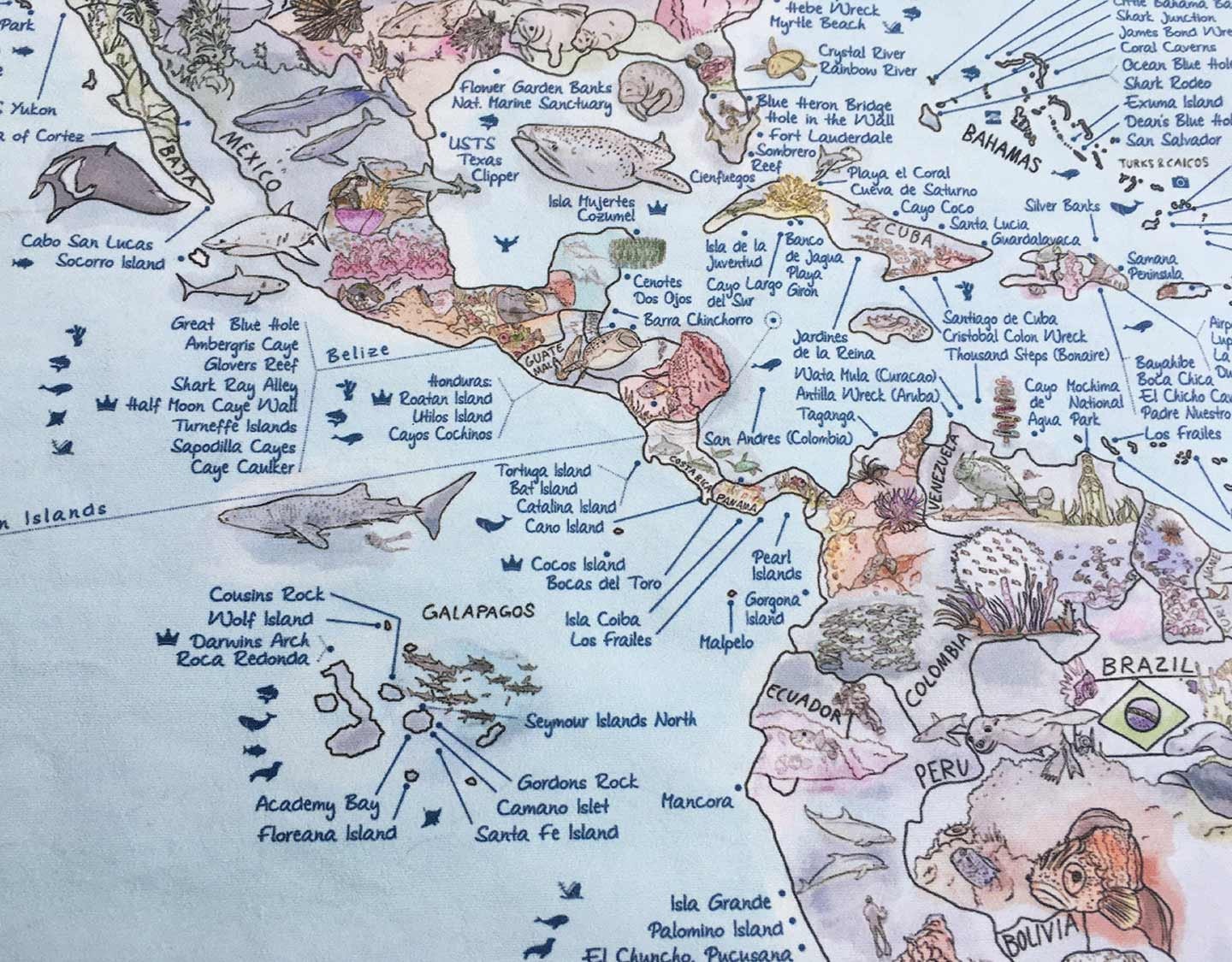 Dive Map Roll Down Canvas Awesome Map World Map for Scuba Diving/divers