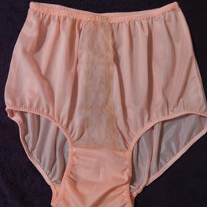 Vintage Nylon Panty