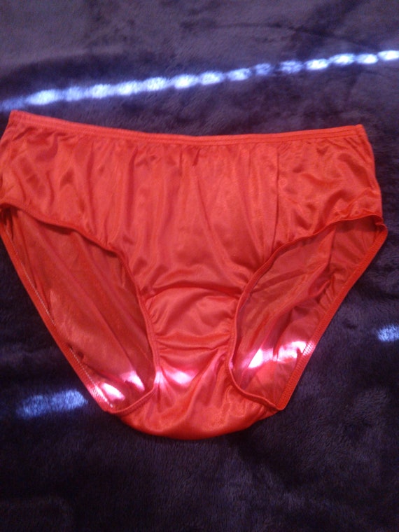 Vintage Shadowline Bikini Panty 