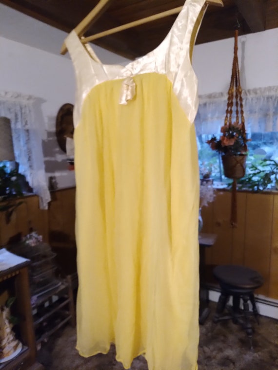 Vintage Chiffon Nightgown - image 3