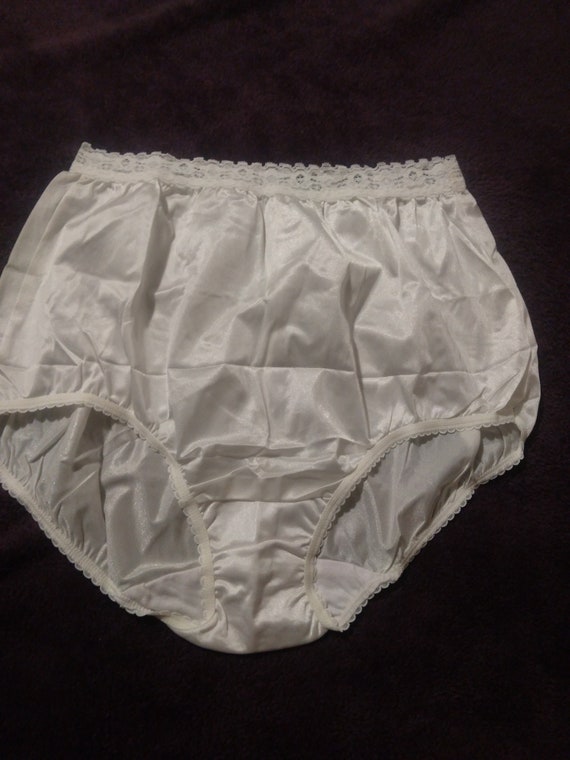 Vintage Nylon Panty - image 1