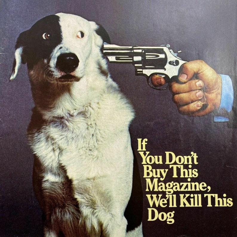 246 Números REVISTA NATIONAL LAMPOON Colección Solo formato Pdf/descarga imagen 1