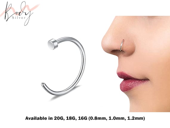 Nose Studs Fake Nostril Nose Double Hoop for Girls Jewelry Ring Nose Hoop  Nose Spiral for Piercing Nose Hoop Piercing for Women Ring Hoop Nose  Jewelry Half Moon Nose Ring : Amazon.ca: