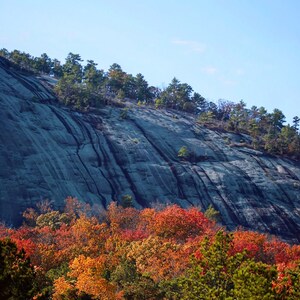 Stone Mountain Digital Image Download