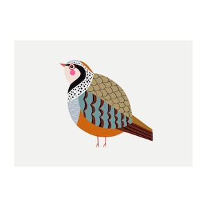 Partridge Art Print - 'Pam' - A4 Landscape - 100% Recycled 300gsm Card From Sustainable Sources - Plastic-Free Packaging White