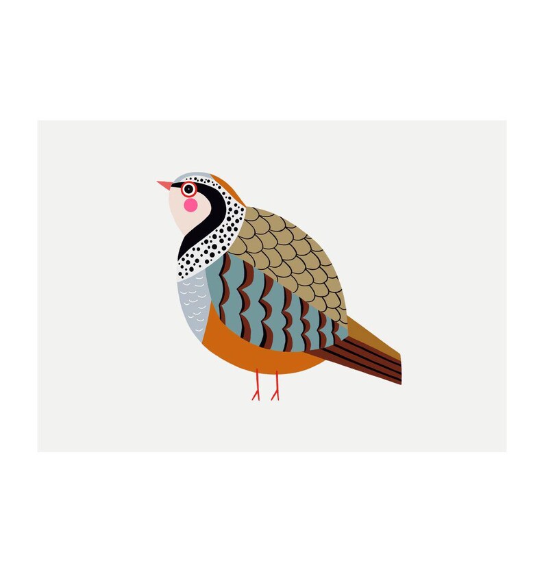 Partridge Art Print - 'Pam' - A4 Landscape - 100% Recycled 300gsm Card From Sustainable Sources - Plastic-Free Packaging White