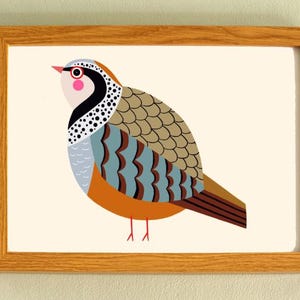 Patrijskunstprint - 'Pam' - A4 liggend - 100% gerecyclede kaart van 300 gsm van duurzame bronnen - PLASTICVRIJE VERPAKKING