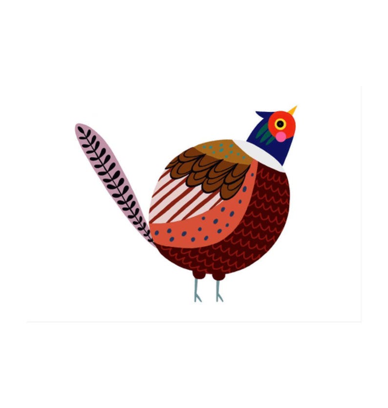 Pheasant art print in a wooden frame by Flapping Frank