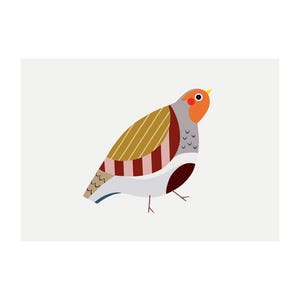 Partridge Art Print - 'Pearl' - A4 Landscape - 100% Recycled 300gsm Card From Sustainable Sources - Plastic-Free Packaging