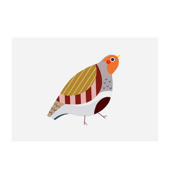 Partridge Art Print - 'Pearl' - A4 Landscape - 100% Recycled 300gsm Card From Sustainable Sources - Plastic-Free Packaging
