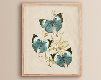 Imprimé papillon bleu | Décor de chambre esthétique | Illustrations de papillons botaniques | Décor de chambre Esthétique | Impressions de papillons | Décor papillon