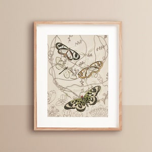 Butterfly Art | Room Decor Aesthetic | Vintage Butterfly | Butterfly Decor | Nature Paintings | Trippy Rustic Insect | Butterfly Printable