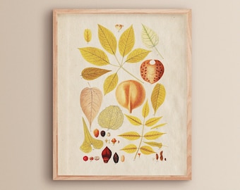 Vintage Kitchen Printable | Living Room Wall Art | Printable Farmhouse Kitchen Wall Art | Vintage Farmhouse Wall Decor | Antique Wall Art