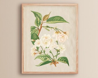 Printable Flower Art | Vintage Floral Print | Vintage Kitchen Printable | Vintage Farmhouse Wall Decor | Living Room Wall Art | White Flower