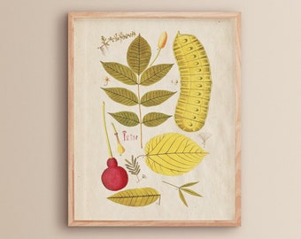 Printable Farmhouse Kitchen Wall Art | Vintage Kitchen Printable | Vintage Farmhouse Wall Decor | Antique Wall Art | Living Room Wall Art
