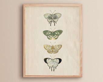 Monarch Butterflies | Vintage Butterfly Wall Art | Nature Painting | Butterfly Print | Butterfly Prints | Cottagecore Aesthetic Room Decor