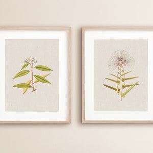 Vintage botanische print set van 2 | Antieke botanische prenten | Vintage boerderij wand decor | Antieke muurkunst | Botanische_Set_2_0001_0002
