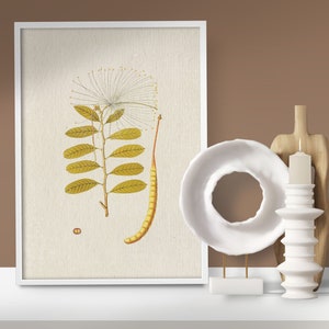 French Botanical | Indie Room Decor | Neutral Botanical Wall Art | Antique Botanical Print | Botanical Ephemera | Wall Art | Botanical_0007