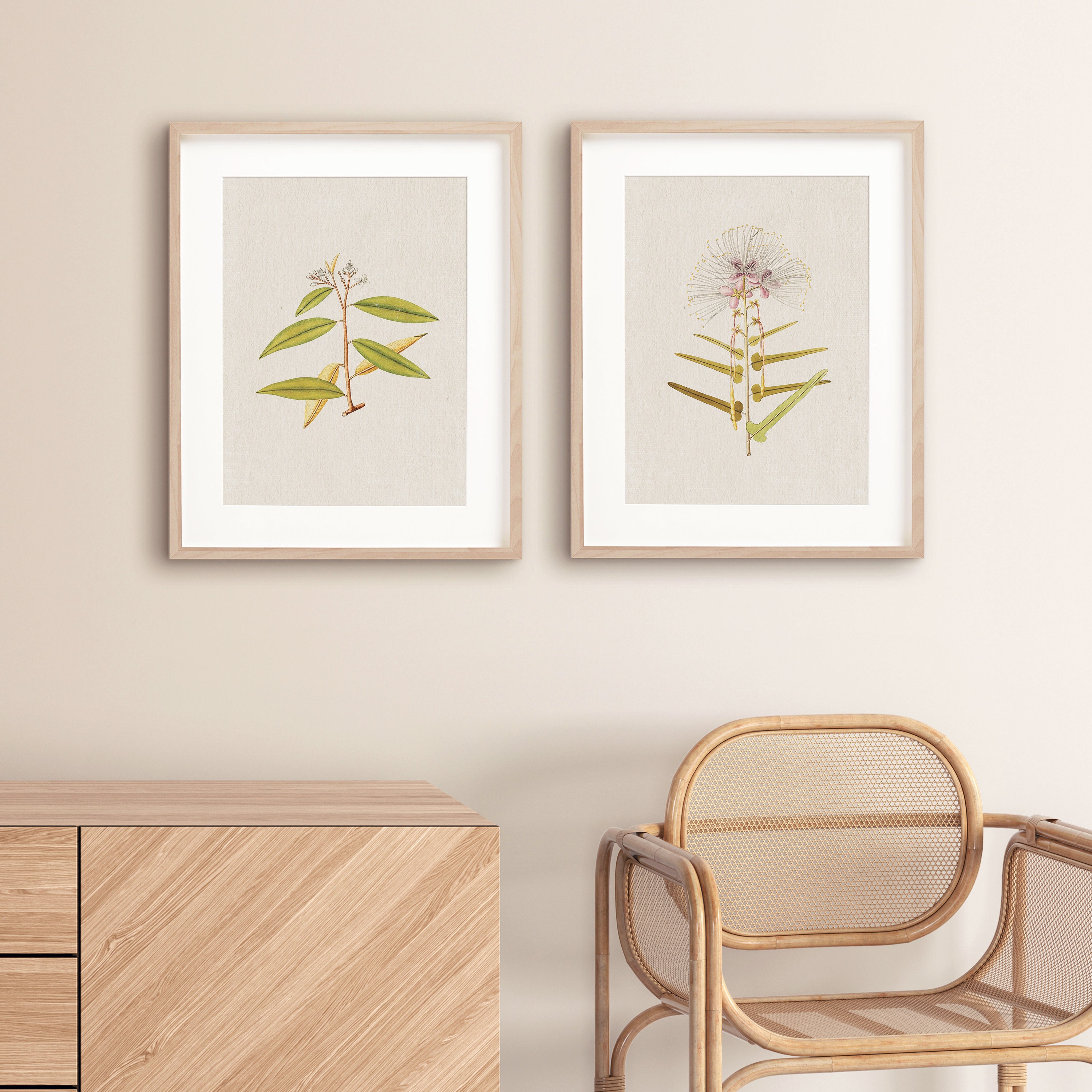 Vintage Botanical Print Set of 2 | Antique Botanical Prints | Vintage ...