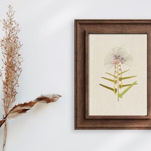 Printable Vintage Botanical Prints | Vintage Style Botanical Prints | Cottagecore Room Decor | Botanical Ephemeral | Botanical_0001