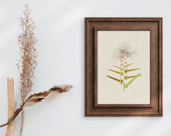 Printable Vintage Botanical Prints | Vintage Style Botanical Prints | Cottagecore Room Decor | Botanical Ephemeral | Botanical_0001