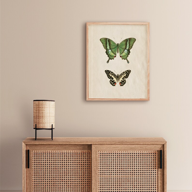 butterfly decor, butterfly art, butterfly art print, butterfly wall art, vintage butterfly, butterfly poster, butterfly print, botanical butterfly, butterfly painting, botanical butterfly art, botanical butterfly print, butterfly illustration