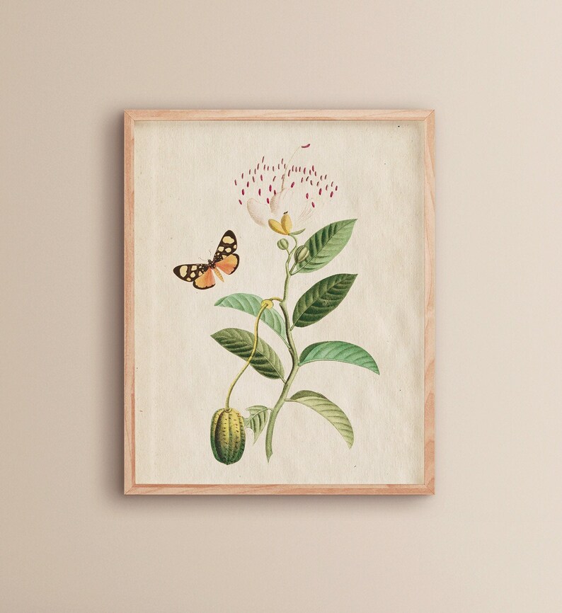 Floral Butterfly Butterfly Flower Painting Flower Art Print Butterfly Illustrations Aesthetic Room Decor Butterfly Prints image 1