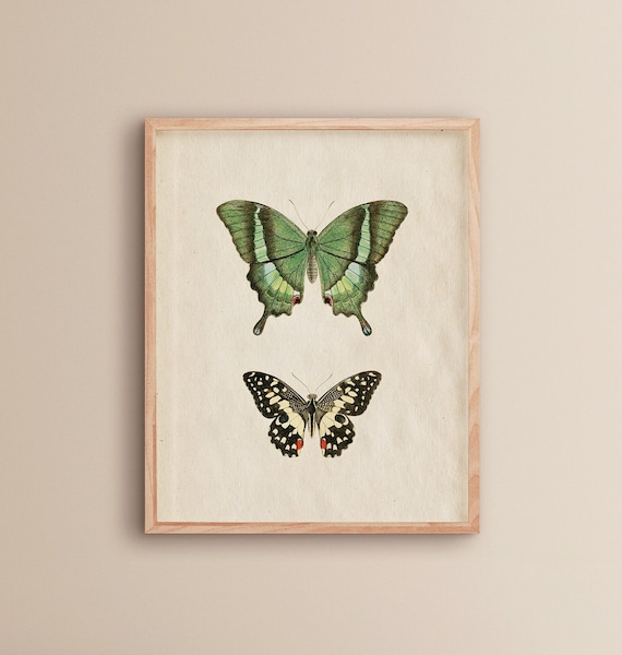 Summer Wall Art | Green Butterfly Art | Vintage Posters | Housewarming Decor Aesthetic | Butterfly Prints | Cottagecore Decor