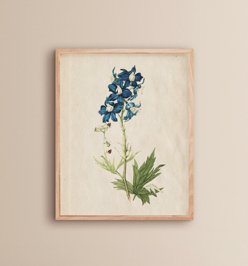 Blaue Blumenmuster Vintage Blumendruck Blauer Botanischer Druck Vintage Bauernhaus Wanddeko Wohnzimmer Wandkunst Blaue Blume Bild 1