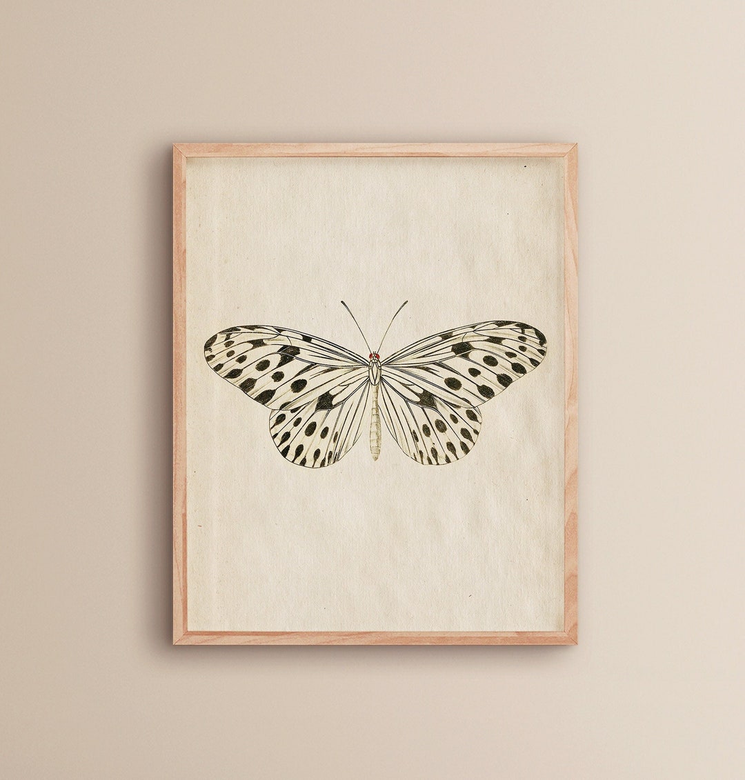 Butterfly Printable Art | Aesthetic Room Decor | Botanical Butterfly ...