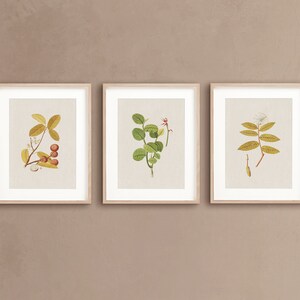 Botanical Gallery Wall Set | Botanical Print Set | Farmhouse Vintage Print Set | Plants | Gallery Wall Bundle | Eclectic Gallery