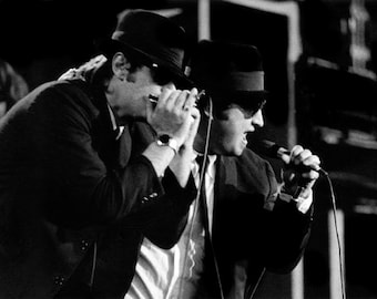 Blues Brothers at Pine Knob Music Theater, Clarkston, MI on July 9, 1980