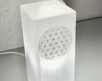 Magnifique lampe d'ambiance fleur de vie cubique en sélénite .
