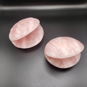 Rose Quartz Seashell Clam Crystal Carving extra large