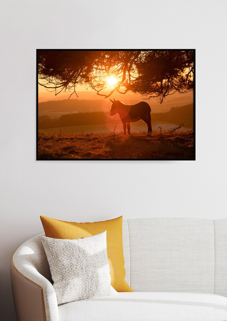 20x30 photo print 20x30 photo print