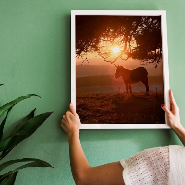 LITTLE DONKEY Fotoprint, 30x20, nachhaltig, Kunstdruck, Wandbild