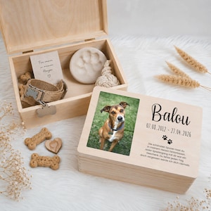 Könnte beinhalten: Eine hölzerne Gedenkbox für Haustiere mit einem Foto eines Hundes namens Balou, einem Pfotenabdruck, einem Halsband und Hundeleckerlis. Die Box enthält das Geburts- und Sterbedatum des Hundes sowie eine herzliche Botschaft.