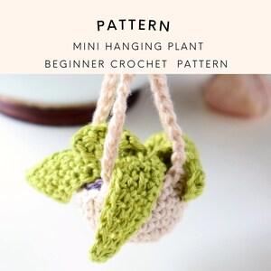 May include: A crocheted hanging plant with green leaves and a beige pot. The plant is suspended from a beige cord.