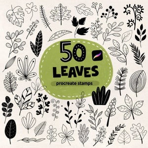 Procreate Leaves Stamp Brushes Set (50 Pack). Instant download. Procreate tools