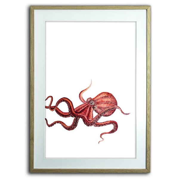 Oktopus Aquarell Druck | Aquarelle Octopus