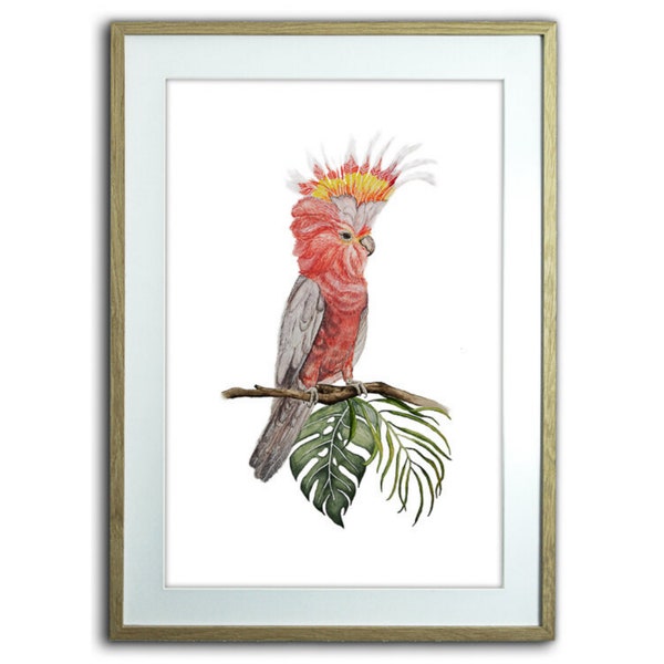 Kakadu Aquarell Druck | Cockatoo watercolor print