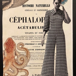 Collage di carta vintage, stile retrò anni '60, raffigurante "CEFALOPODE". Decorazione per la casa: 30 cm X 40 cm (11,81" x 15,70"). Senza cornice. Consegna internazionale