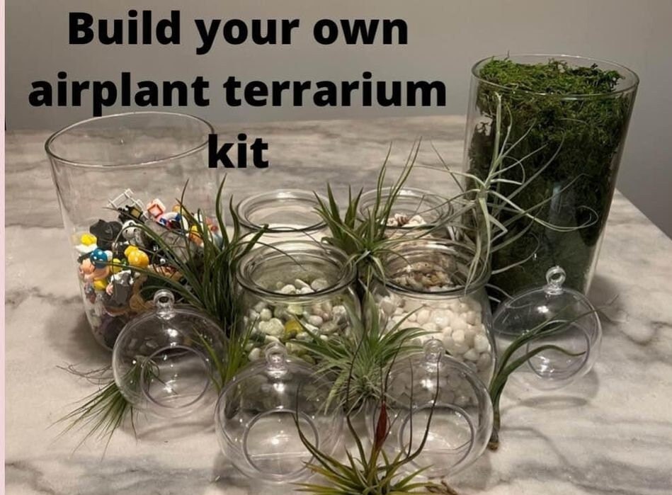 Terrarium Kit – Makerhoods