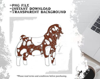 Gráfico de Buck