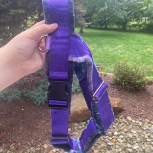 Custom Y-Front Dog Harness
