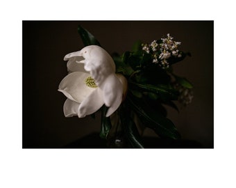 Blank Inside Louisiana magnolia card on premium cardstock, 5X7
