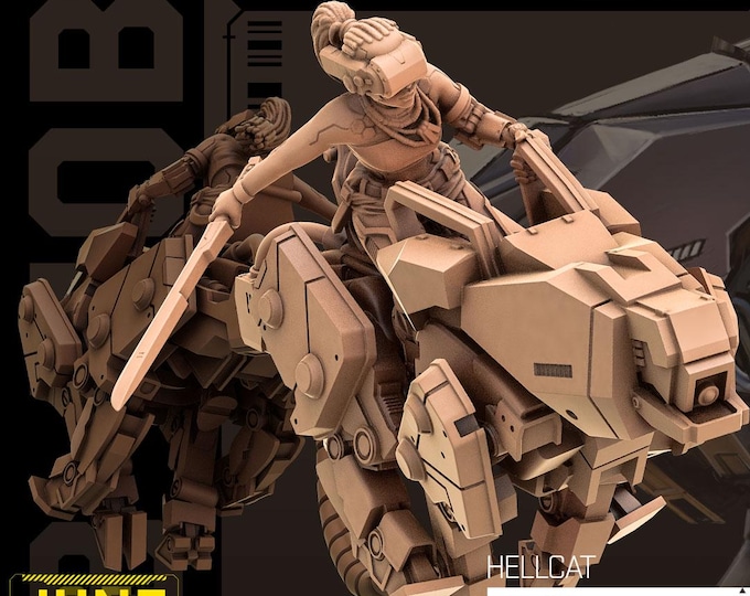 Hellcat and Rider - 28/32mm - Unit9 - B Mob - Cyberpunk/science Fiction/Futuristic/Cybernetics mini
