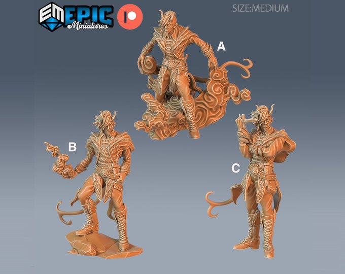 Tiefling Adventurer - 28mm Scale -Epic Miniatures