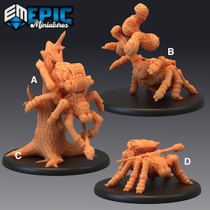 May include: Four miniature spider figures, each with a different design. The spiders are painted in a light brown color and are standing on black bases. The spiders are labeled A, B, C, and D.