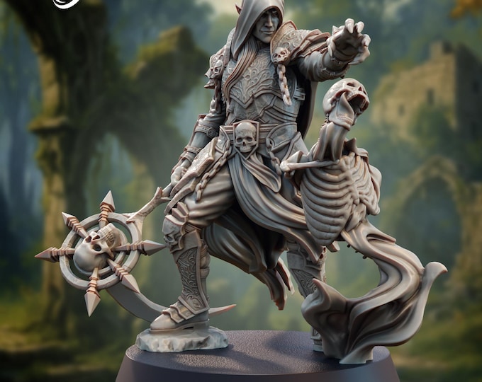Elven Necromancer - Seorias Boverithon - 28/32mm - The Printing Goes Ever On - Dungeons and Dragons - Pathfinder - Fantasy